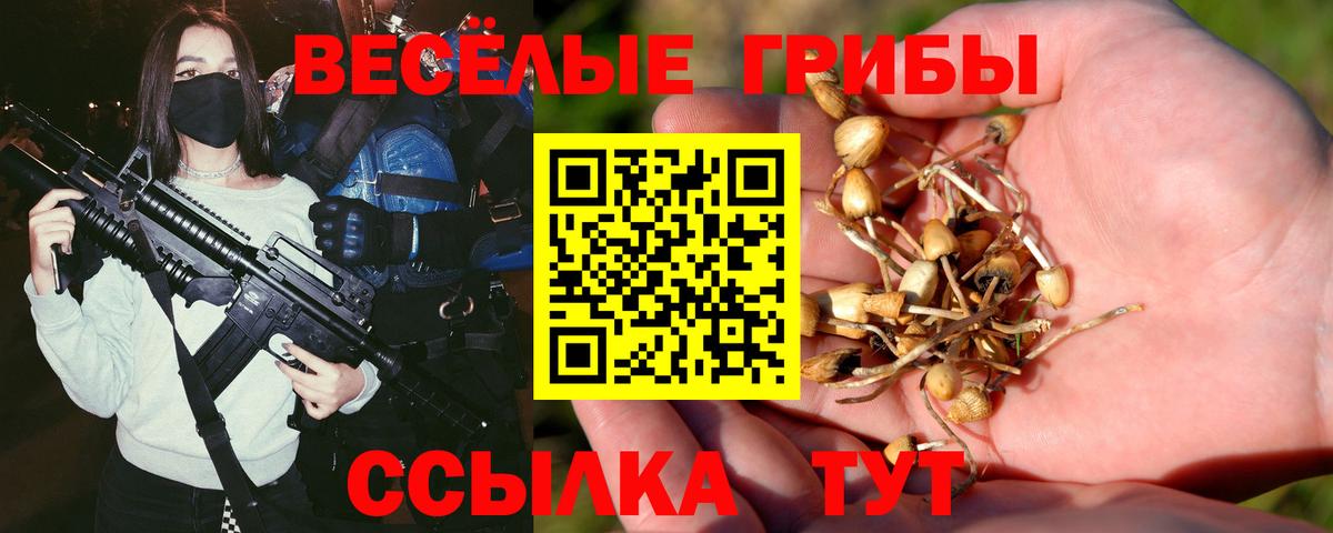 Псилоцибиновые грибы Psilocybe Россошь